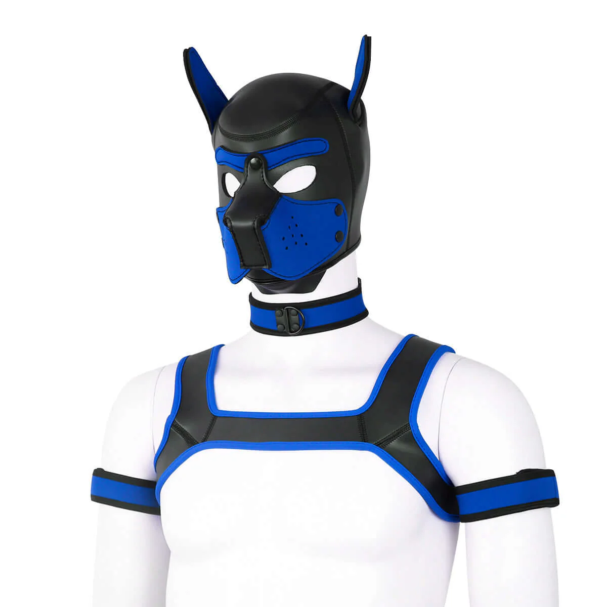 ALPHA PUP HOOD SET - Blue & Black - Image 4