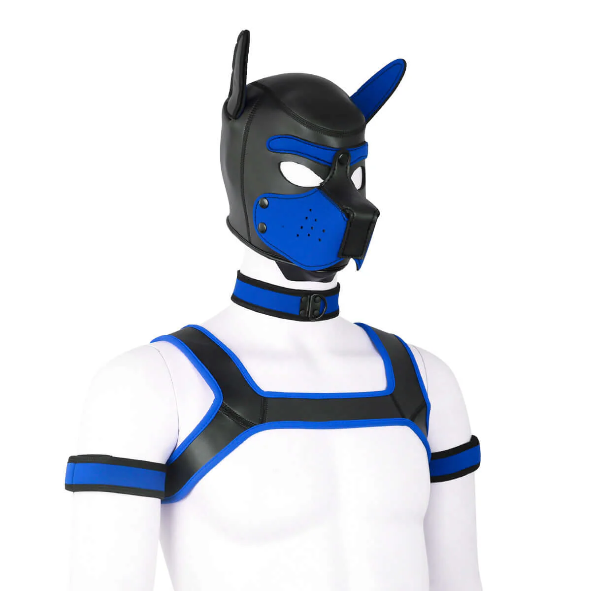 ALPHA PUP HOOD SET - Blue & Black - Image 5