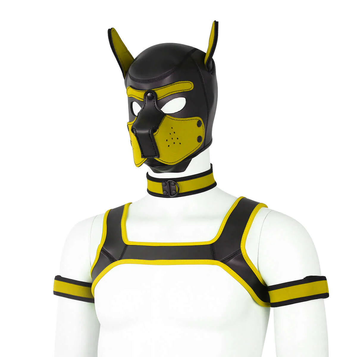 ALPHA PUP HOOD SET - Yellow & Black - Image 4