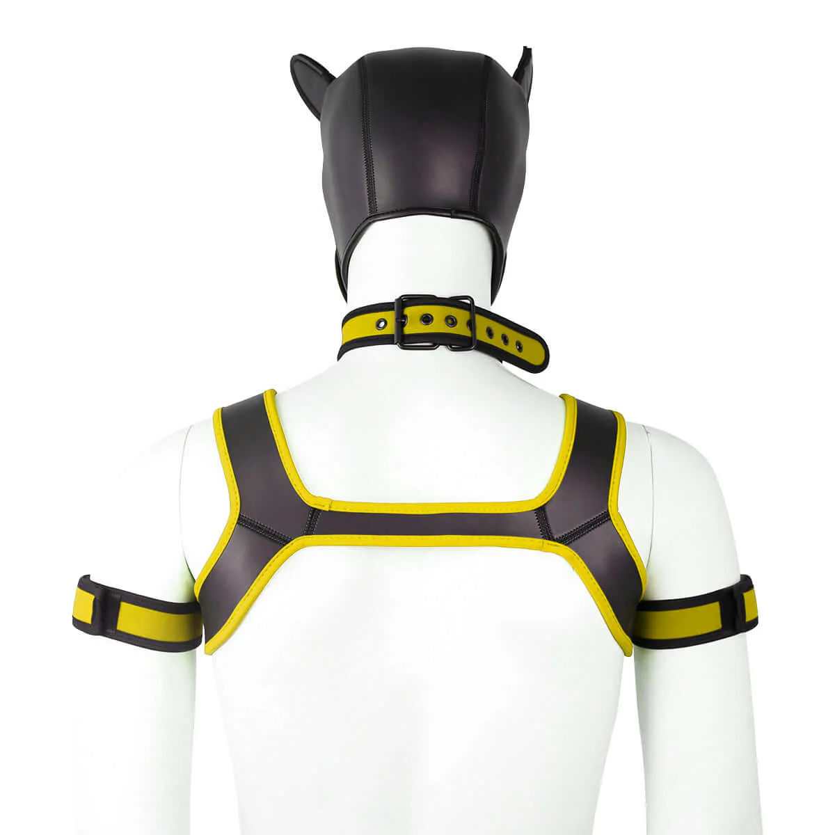 ALPHA PUP HOOD SET - Yellow & Black - Image 5