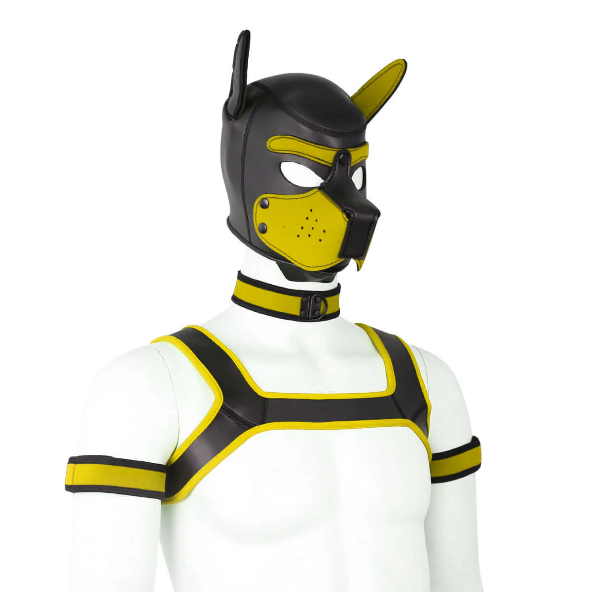 ALPHA PUP HOOD SET - Yellow & Black - Image 6