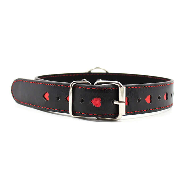 LOVE PUP COLLAR & CHAIN LEASH - Image 4
